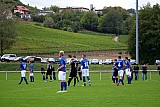 TSV L&ouml;wenstein - SVS