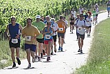 Volkslauf 2014