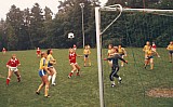 Chronik Frauenfu&szlig;ball