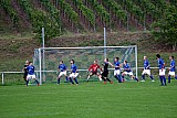 TSV L&ouml;wenstein - SVS